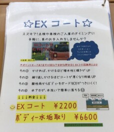 花粉の時期。。ボディーコートのおすすめです